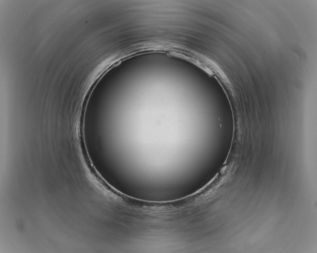 X0000110860946200906181138