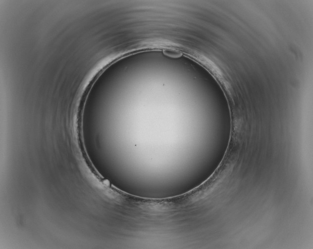 X0000110860947200906181138