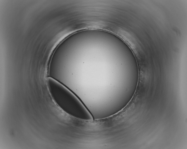 X0000110860948200906181138