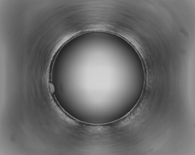 X0000110860949200906181138