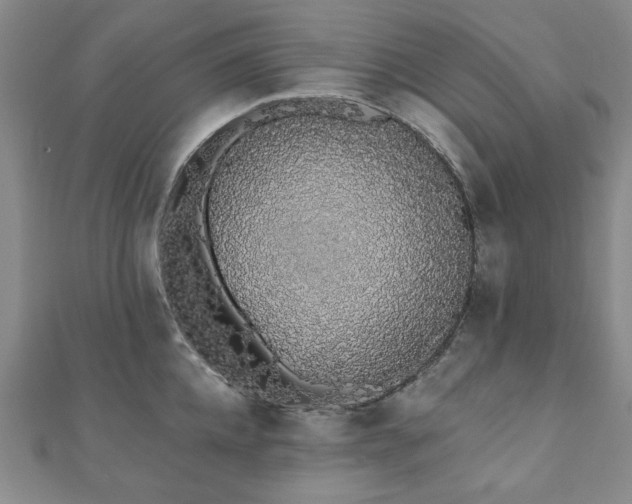 X0000110860952200906181138