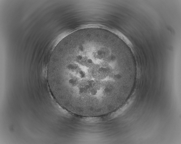 X0000110860953200906181138