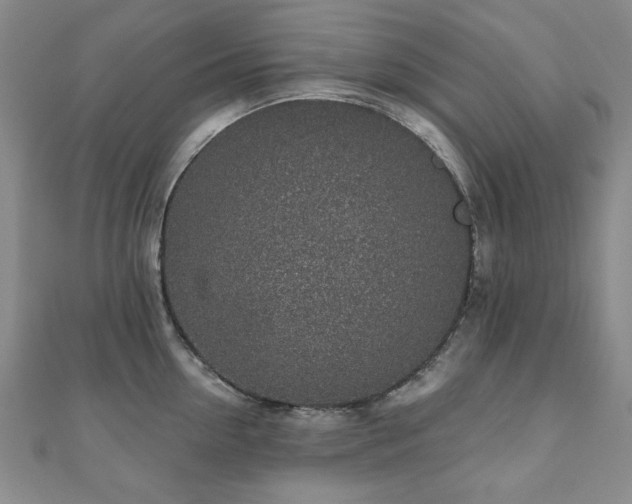 X0000110860954200906181138