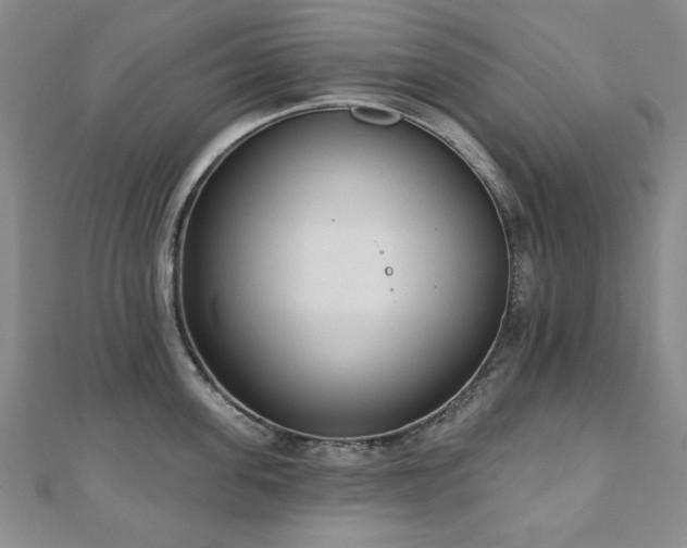X0000110860955200906181138