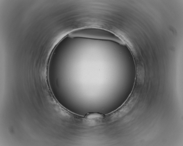 X0000110860956200906181138