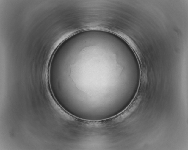 X0000110860957200906181138