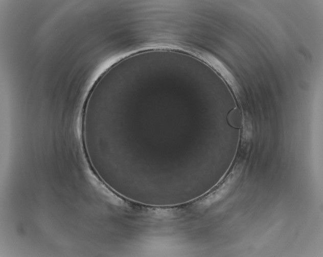 X0000110860958200906181138