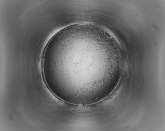 X0000110860959200906181138