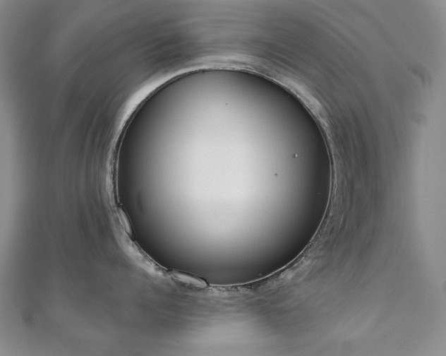X0000110860960200906181138