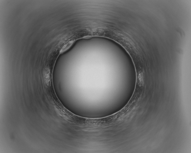 X0000110860963200906181138