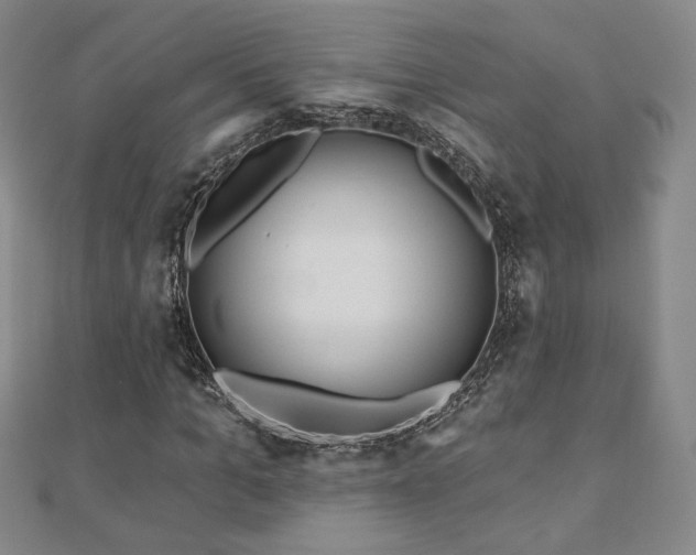X0000110860965200906181138