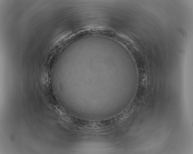 X0000110860966200906181138