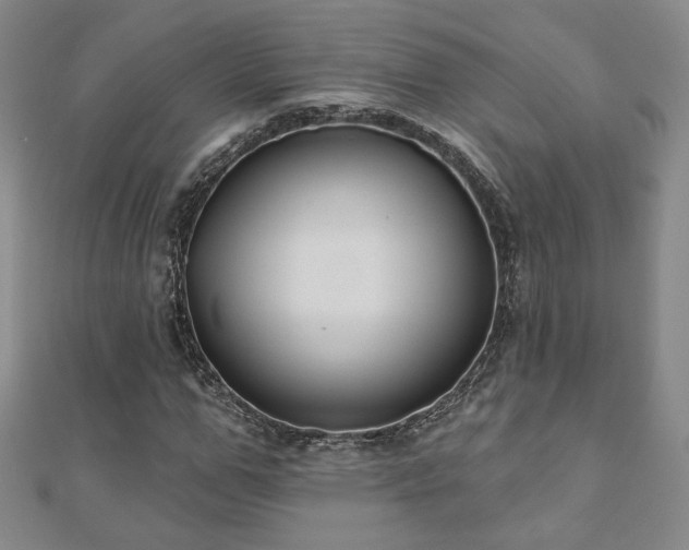 X0000110860967200906181138