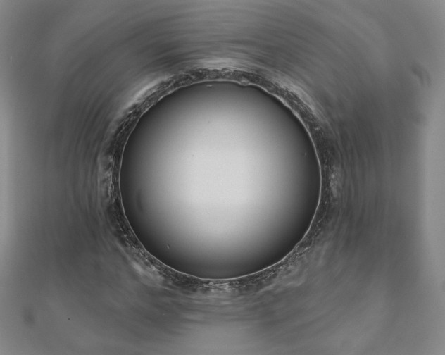 X0000110860968200906181138