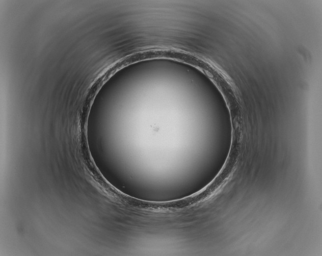 X0000110860969200906181138