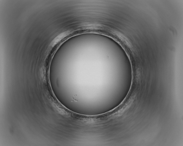 X0000110860970200906181138