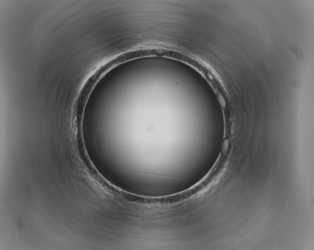 X0000110860973200906181138