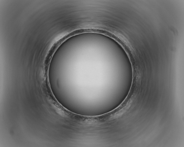 X0000110860974200906181138