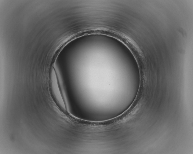 X0000110860977200906181138