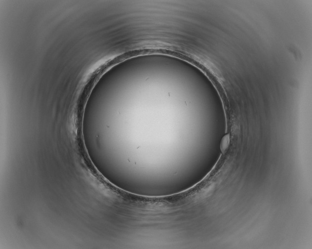 X0000110860979200906181138