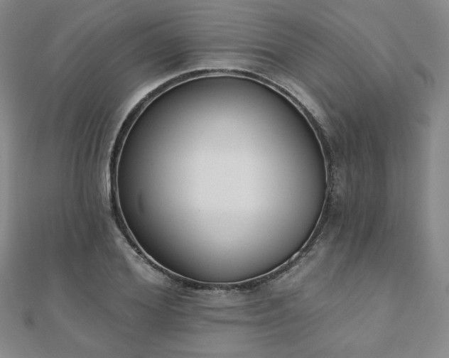 X0000110860980200906181138