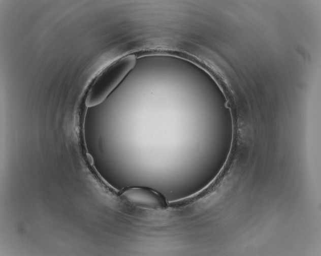 X0000110860981200906181138