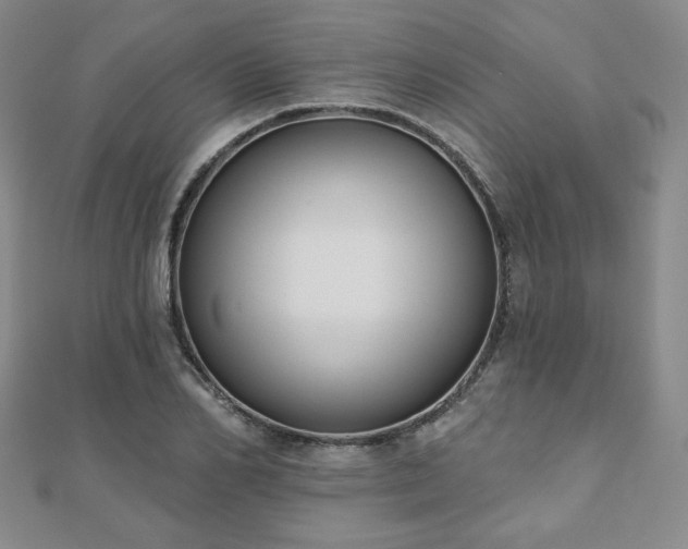 X0000110860982200906181138