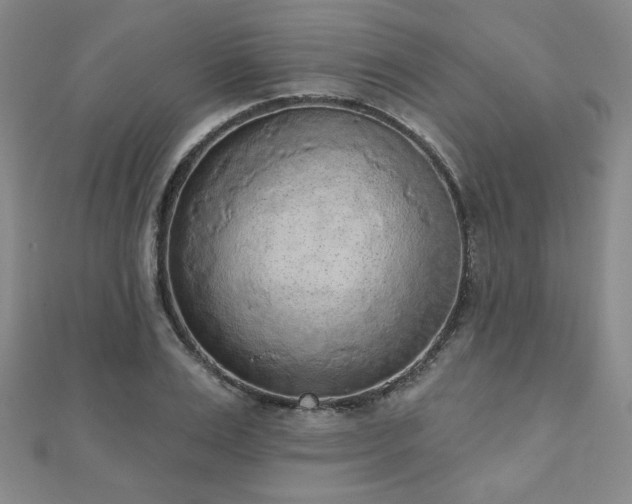 X0000110860983200906181138