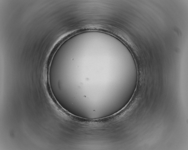 X0000110860984200906181137