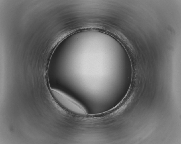 X0000110860985200906181137