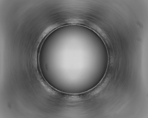 X0000110860986200906181137
