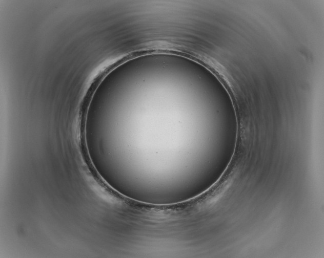 X0000110860987200906181137