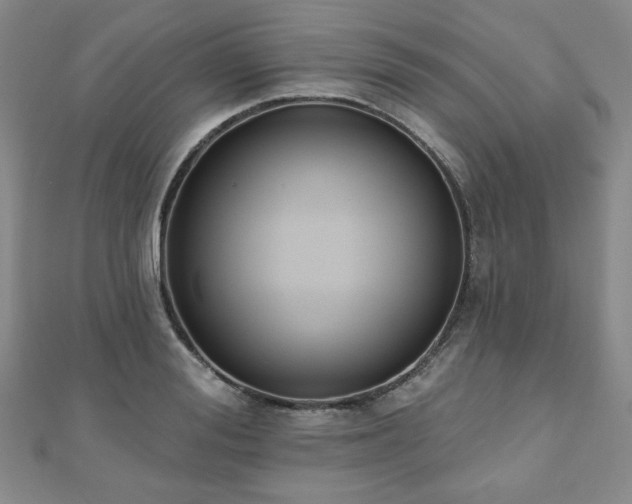 X0000110860988200906181137