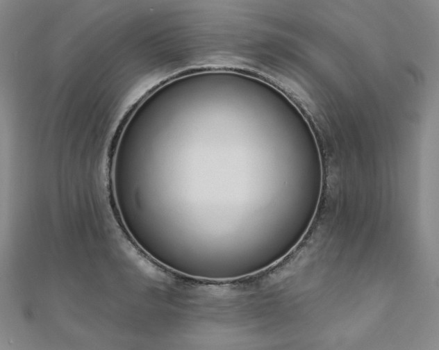 X0000110860990200906181137