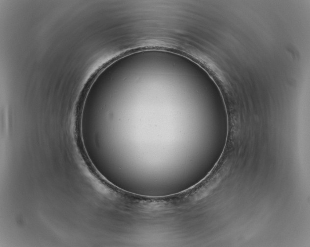 X0000110860991200906181137