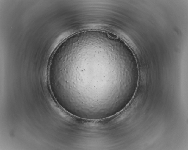 X0000110860994200906181137