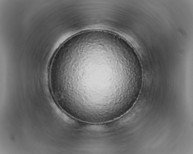 X0000110860998200906181137