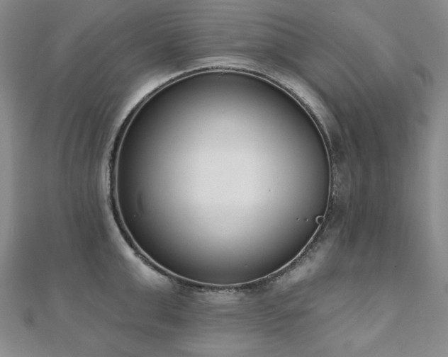 X0000110860999200906181137