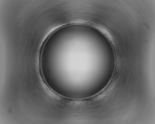 X0000110861000200906181137