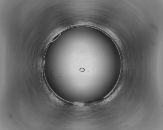 X0000110861001200906181137