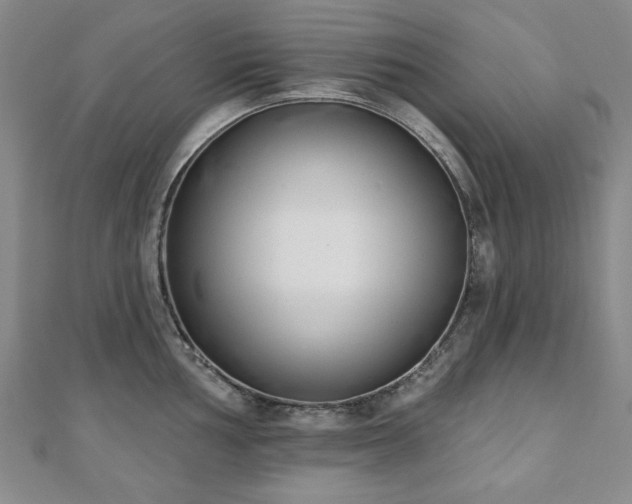 X0000110861002200906181137