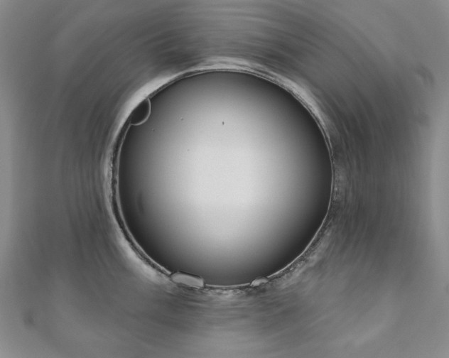 X0000110861003200906181137
