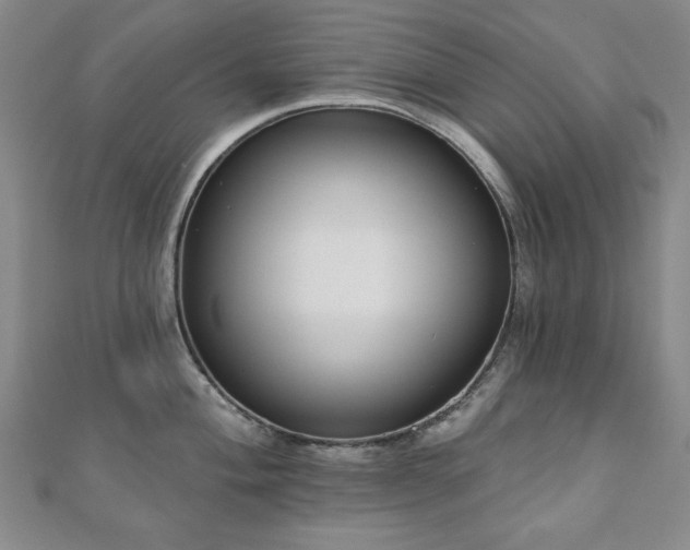 X0000110861004200906181137