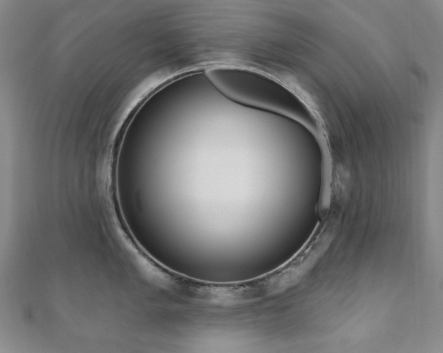 X0000110861005200906181137