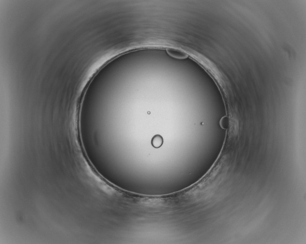 X0000110861006200906181137