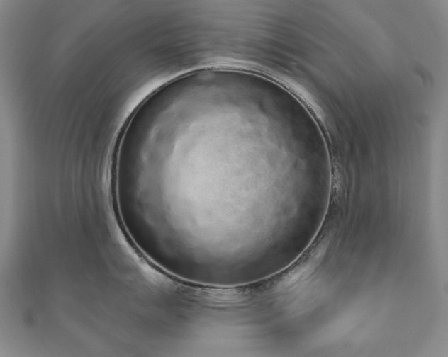 X0000110861007200906181137