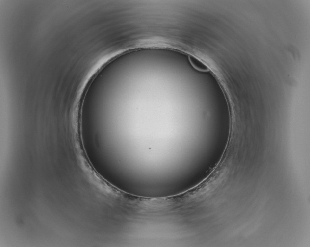 X0000110861008200906181137