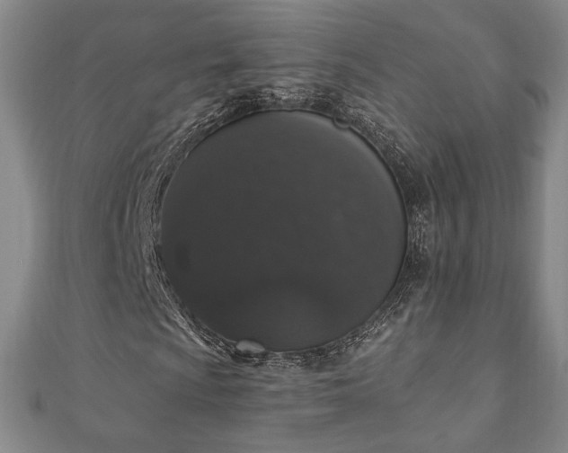 X0000110861009200906181137
