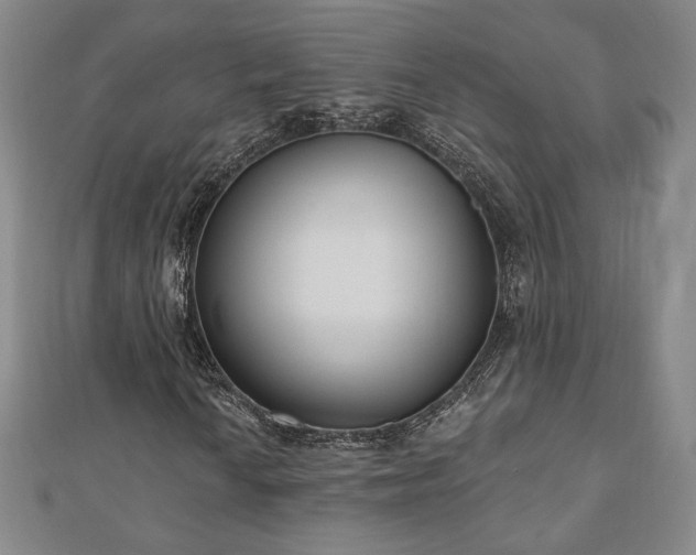 X0000110861010200906181137