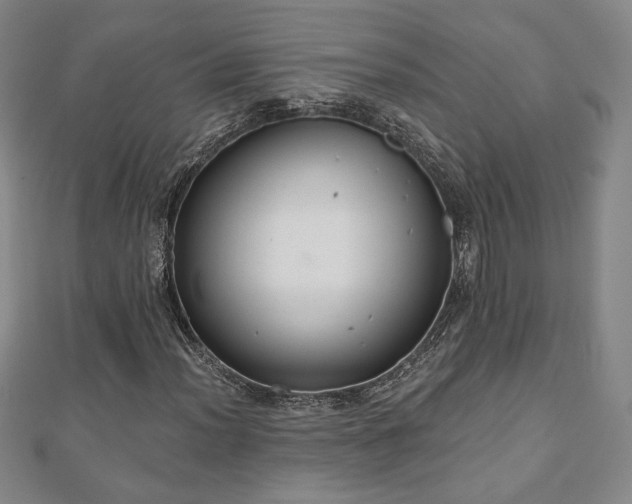 X0000110861012200906181137